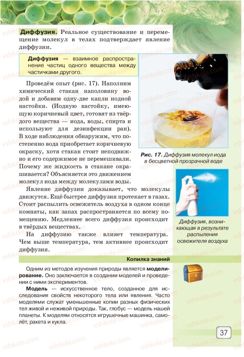 Страница 37 | Підручник Природознавство 5 клас О.Г. Ярошенко, В.М. Бойко 2018 На російській мові