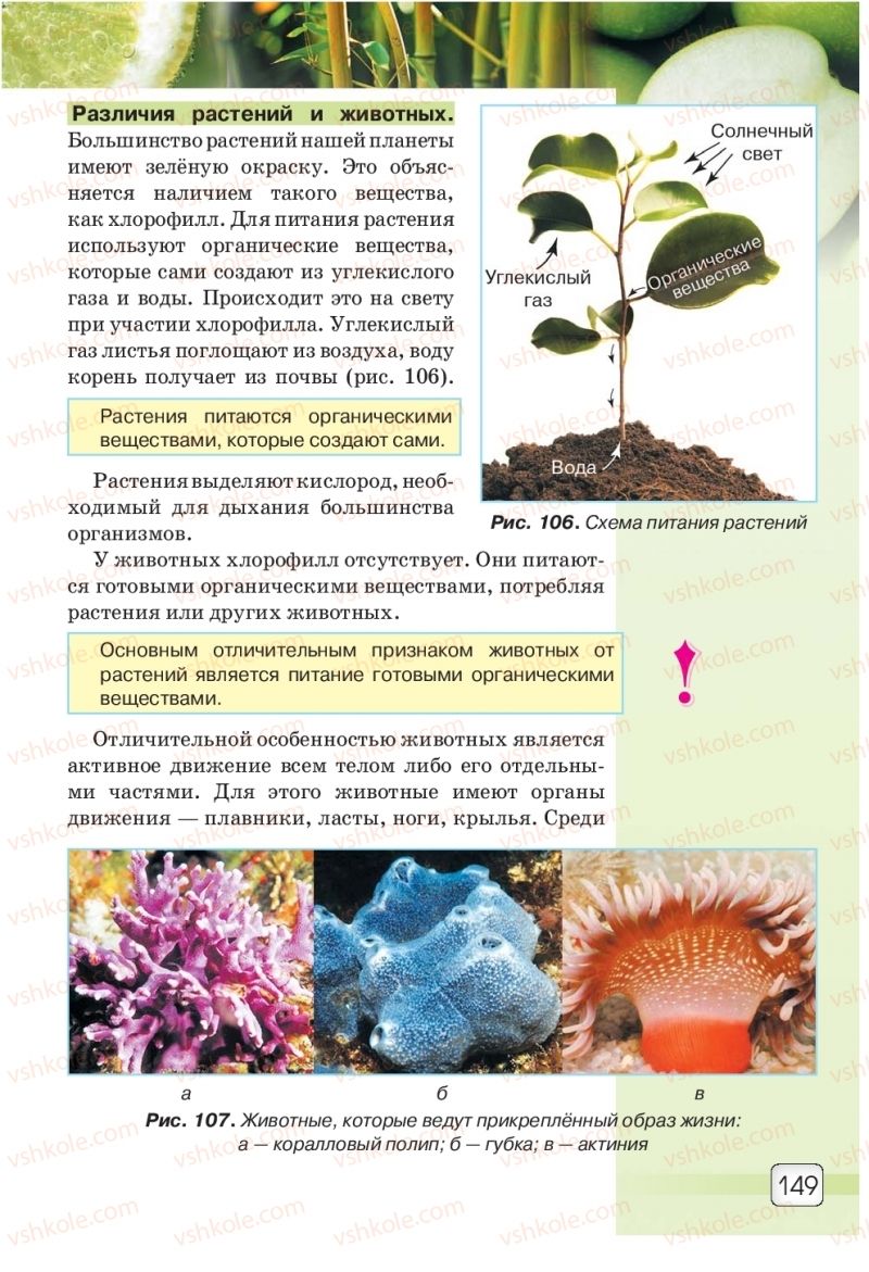 Страница 149 | Підручник Природознавство 5 клас О.Г. Ярошенко, В.М. Бойко 2018 На російській мові