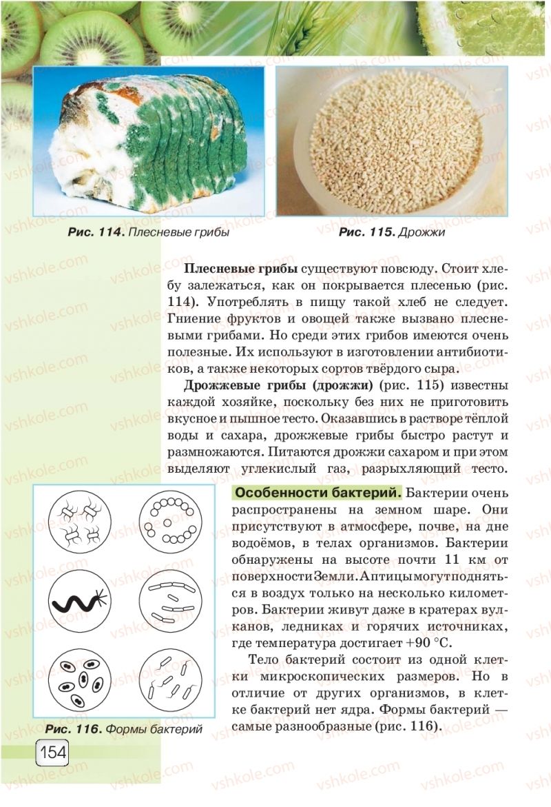Страница 154 | Підручник Природознавство 5 клас О.Г. Ярошенко, В.М. Бойко 2018 На російській мові