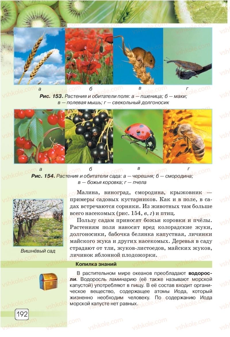 Страница 192 | Підручник Природознавство 5 клас О.Г. Ярошенко, В.М. Бойко 2018 На російській мові