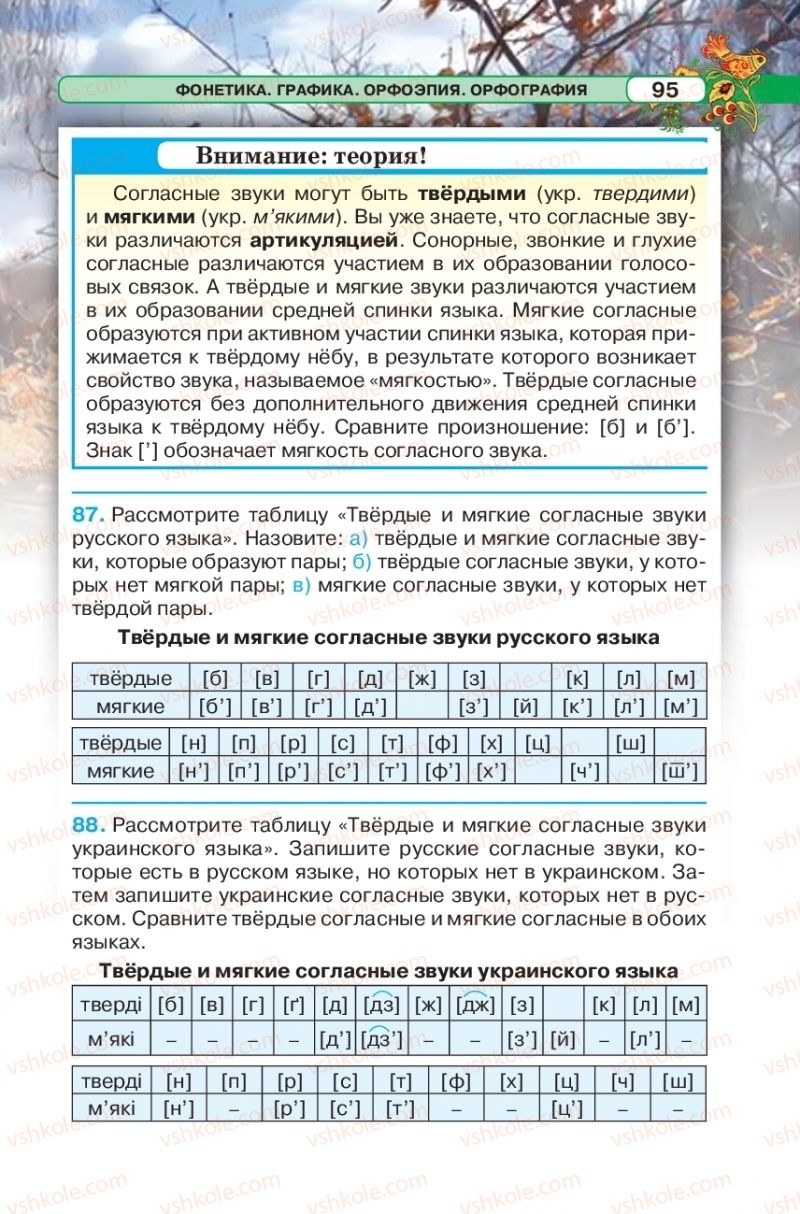 Страница 95 | Підручник Русский язык 5 клас Л.В. Давидюк 2018
