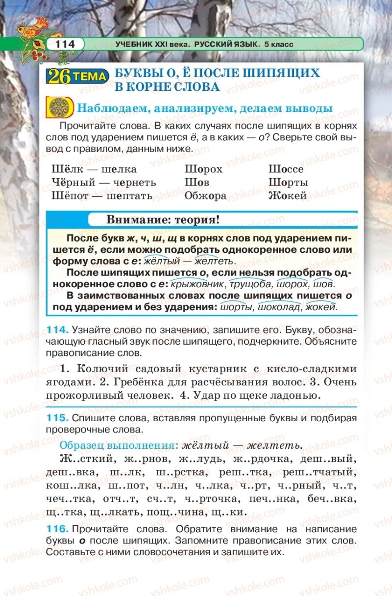 Страница 114 | Підручник Русский язык 5 клас Л.В. Давидюк 2018