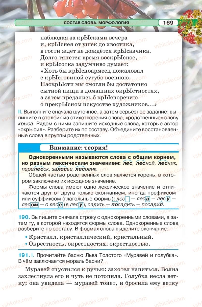 Страница 169 | Підручник Русский язык 5 клас Л.В. Давидюк 2018