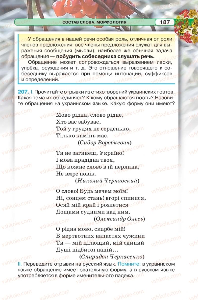 Страница 187 | Підручник Русский язык 5 клас Л.В. Давидюк 2018