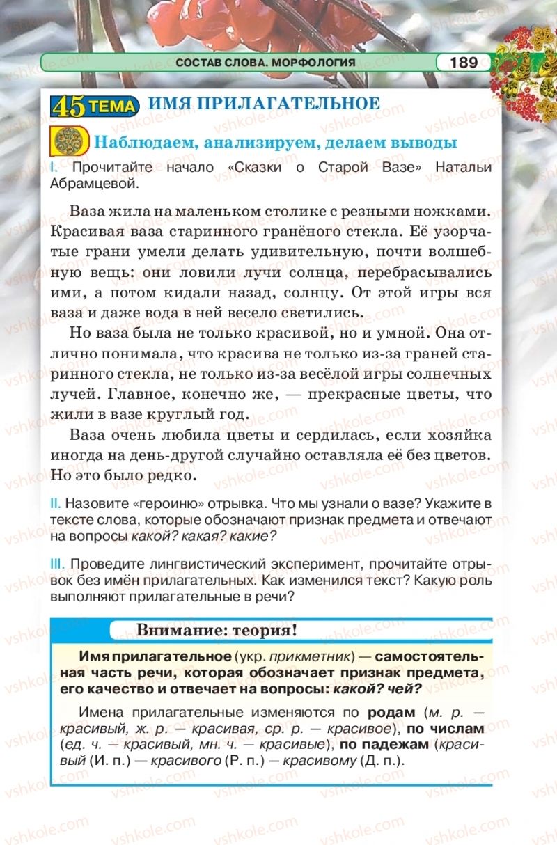 Страница 189 | Підручник Русский язык 5 клас Л.В. Давидюк 2018