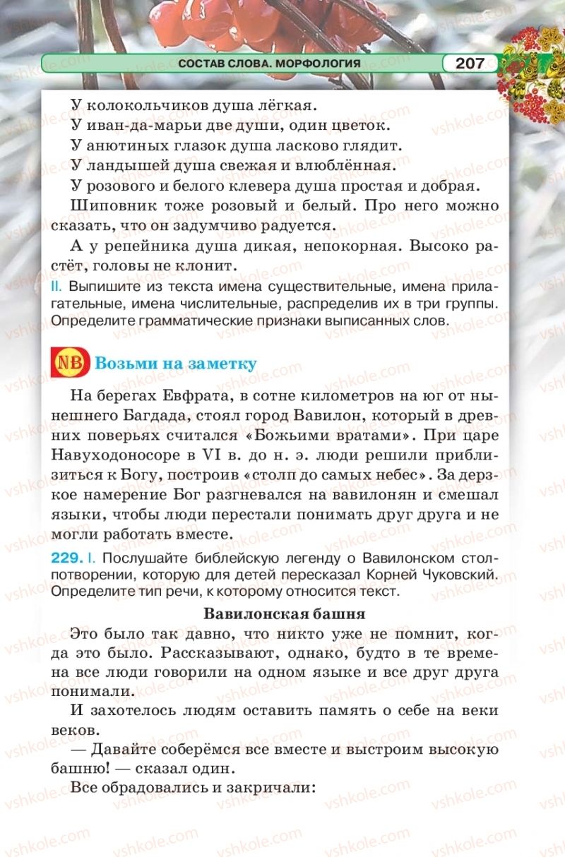 Страница 207 | Підручник Русский язык 5 клас Л.В. Давидюк 2018