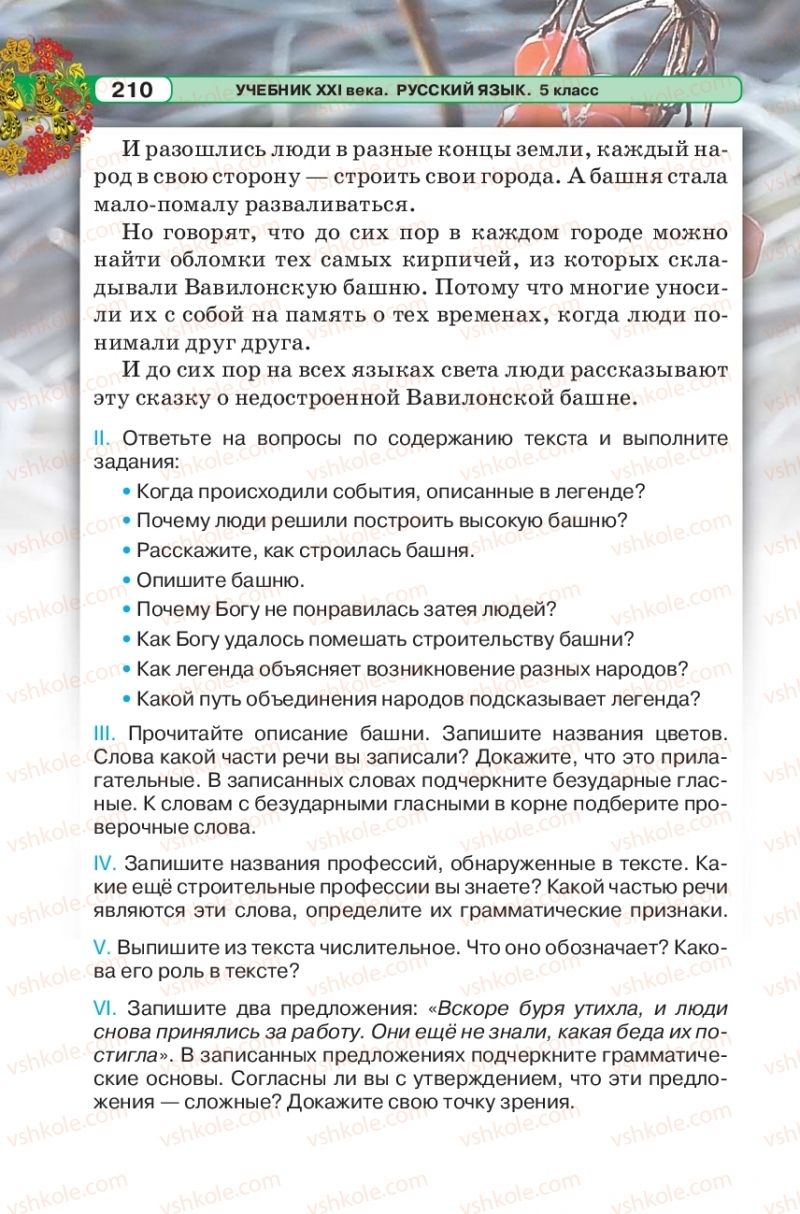 Страница 210 | Підручник Русский язык 5 клас Л.В. Давидюк 2018