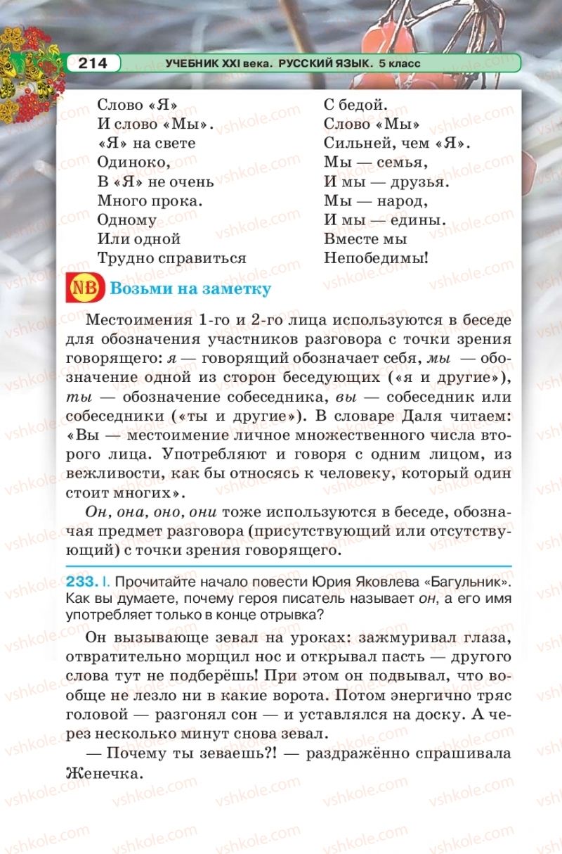Страница 214 | Підручник Русский язык 5 клас Л.В. Давидюк 2018
