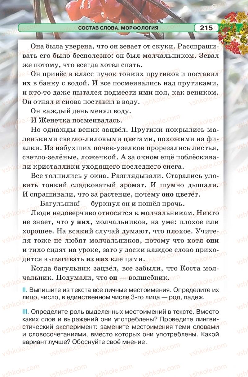 Страница 215 | Підручник Русский язык 5 клас Л.В. Давидюк 2018