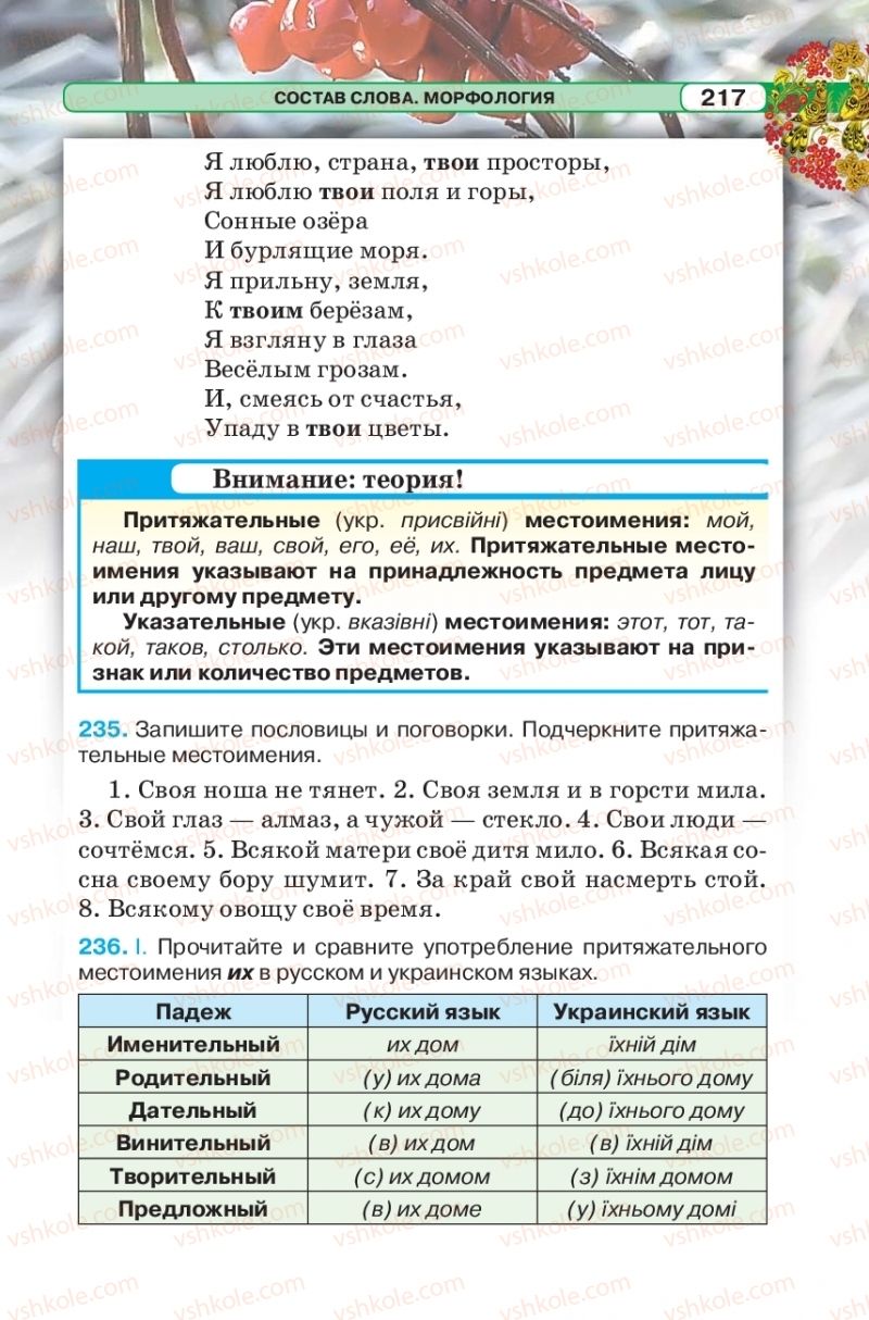 Страница 217 | Підручник Русский язык 5 клас Л.В. Давидюк 2018