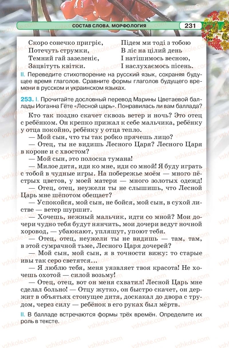 Страница 231 | Підручник Русский язык 5 клас Л.В. Давидюк 2018