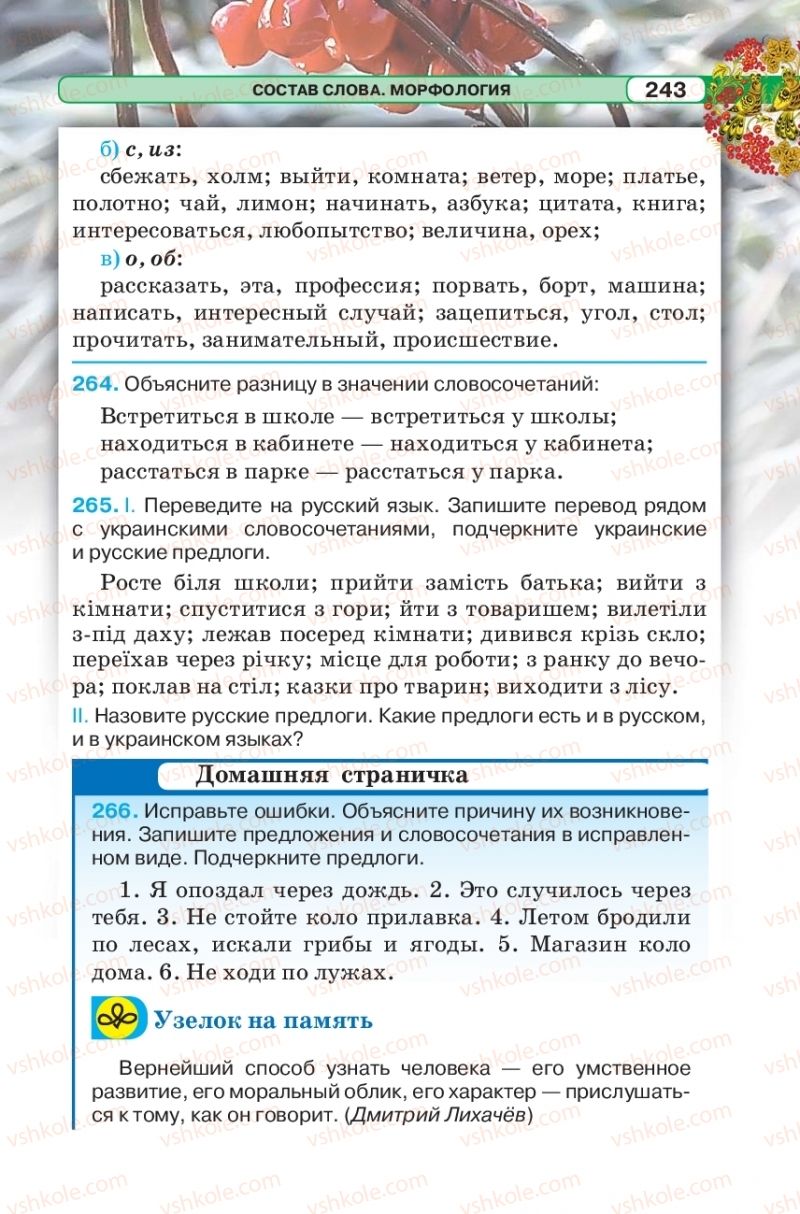 Страница 243 | Підручник Русский язык 5 клас Л.В. Давидюк 2018