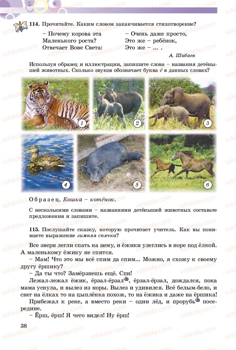 Страница 38 | Підручник Русский язык 5 клас Т.М. Полякова, Е.И. Самонова 2018